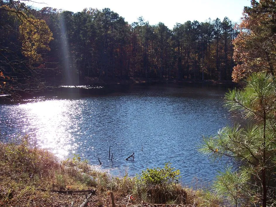 Panola Mountain State Park