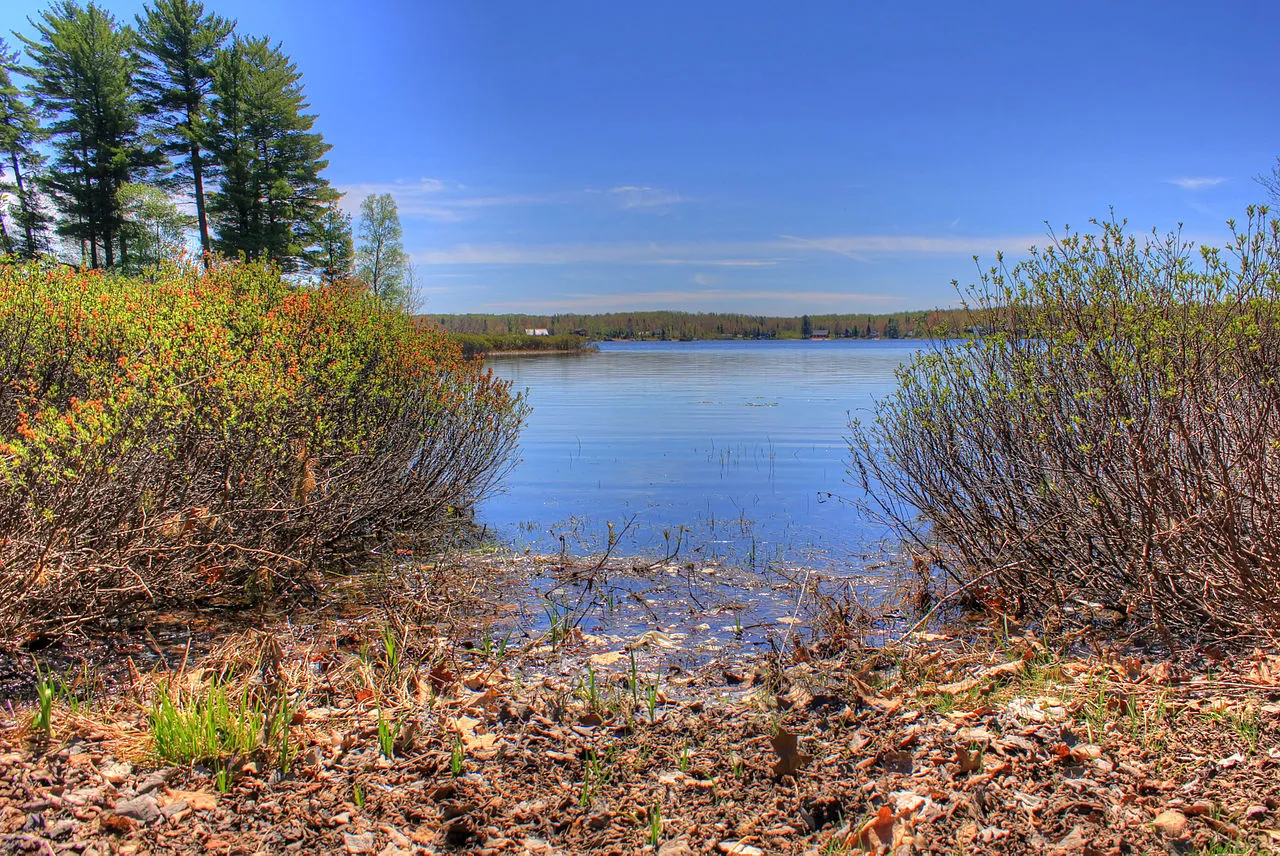 Twin Lakes State Forest Campground