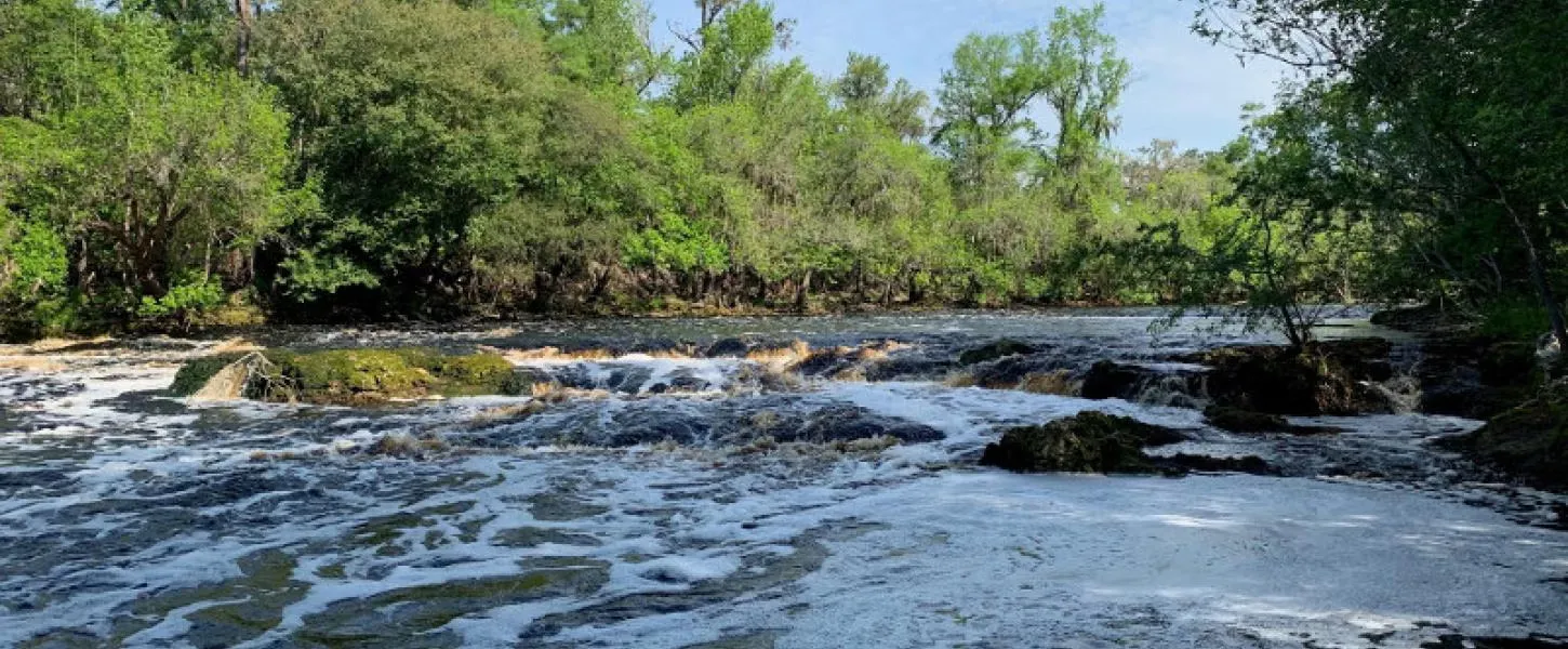 Suwannee River State Park Loop Cabi