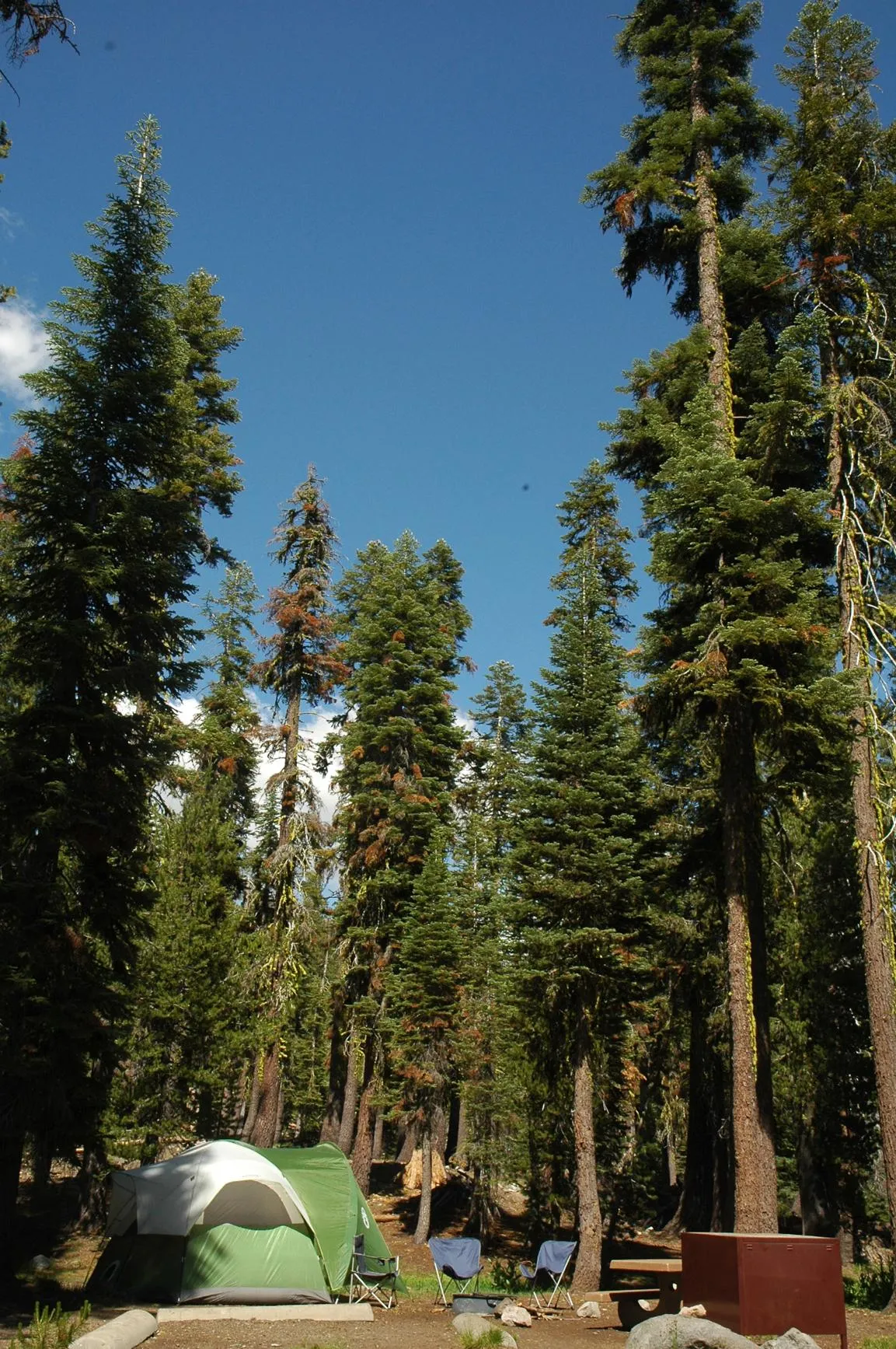 Southwest Campground - Winter/Spring