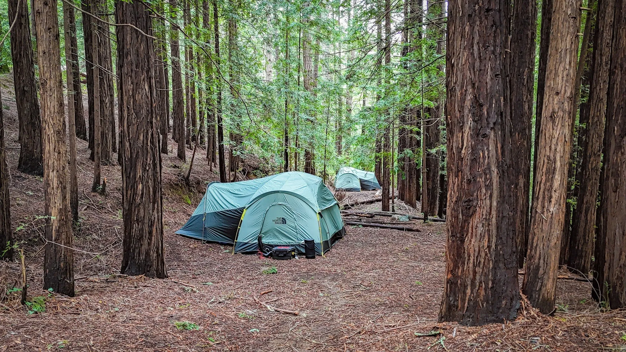 Alice Eastwood Group Campground