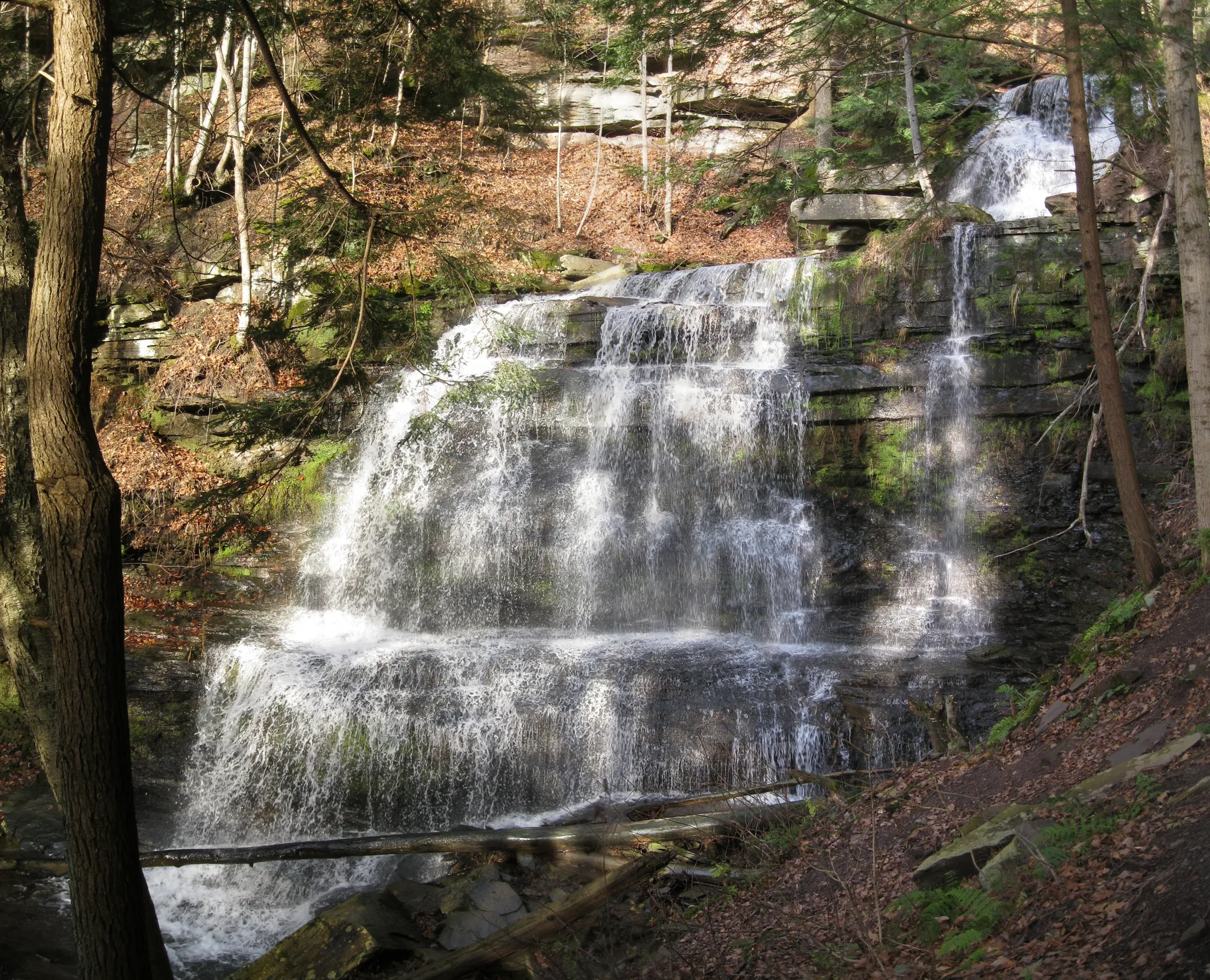 Leonard Harrison State Park