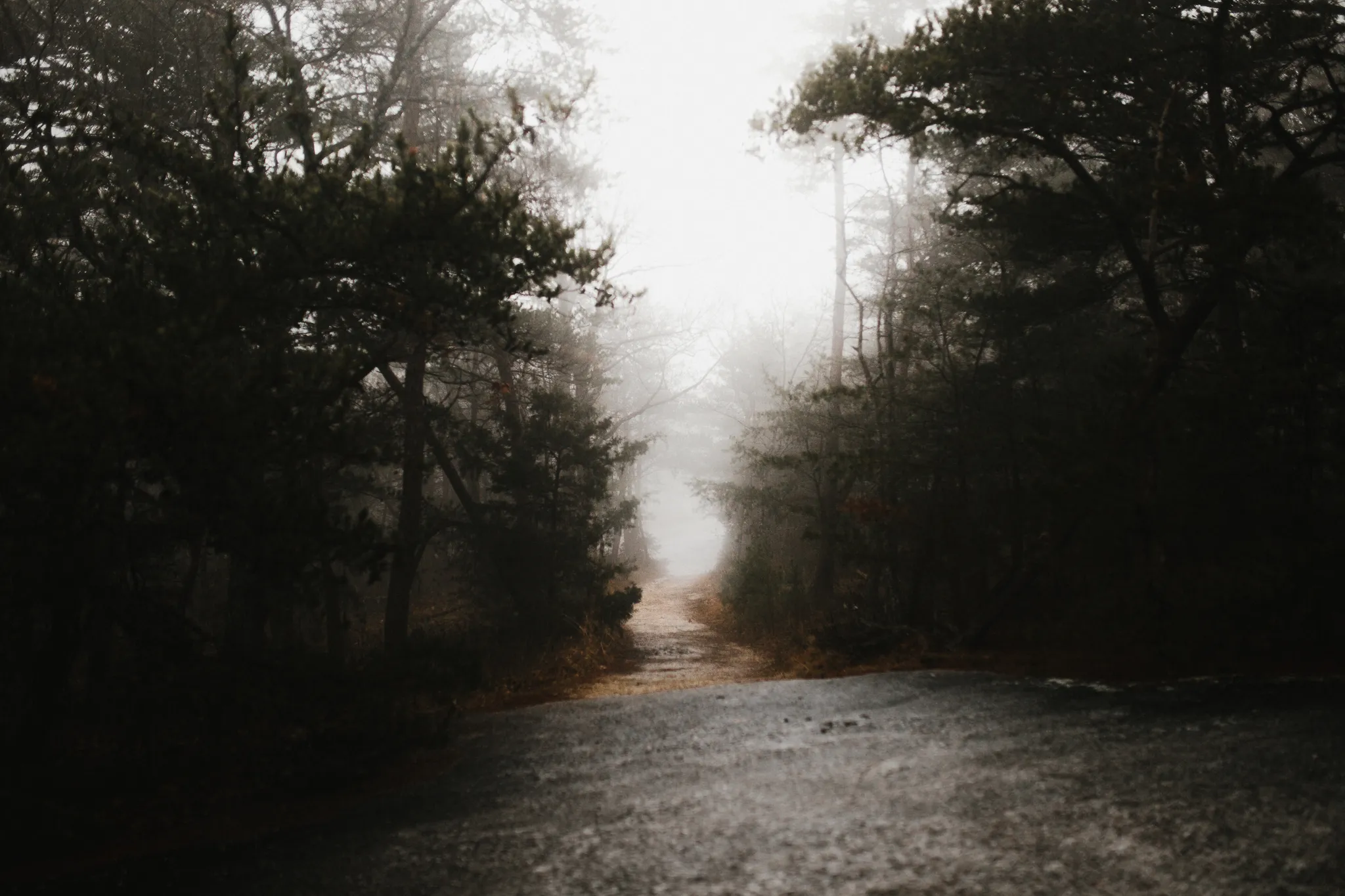 Stone Mountain State Park