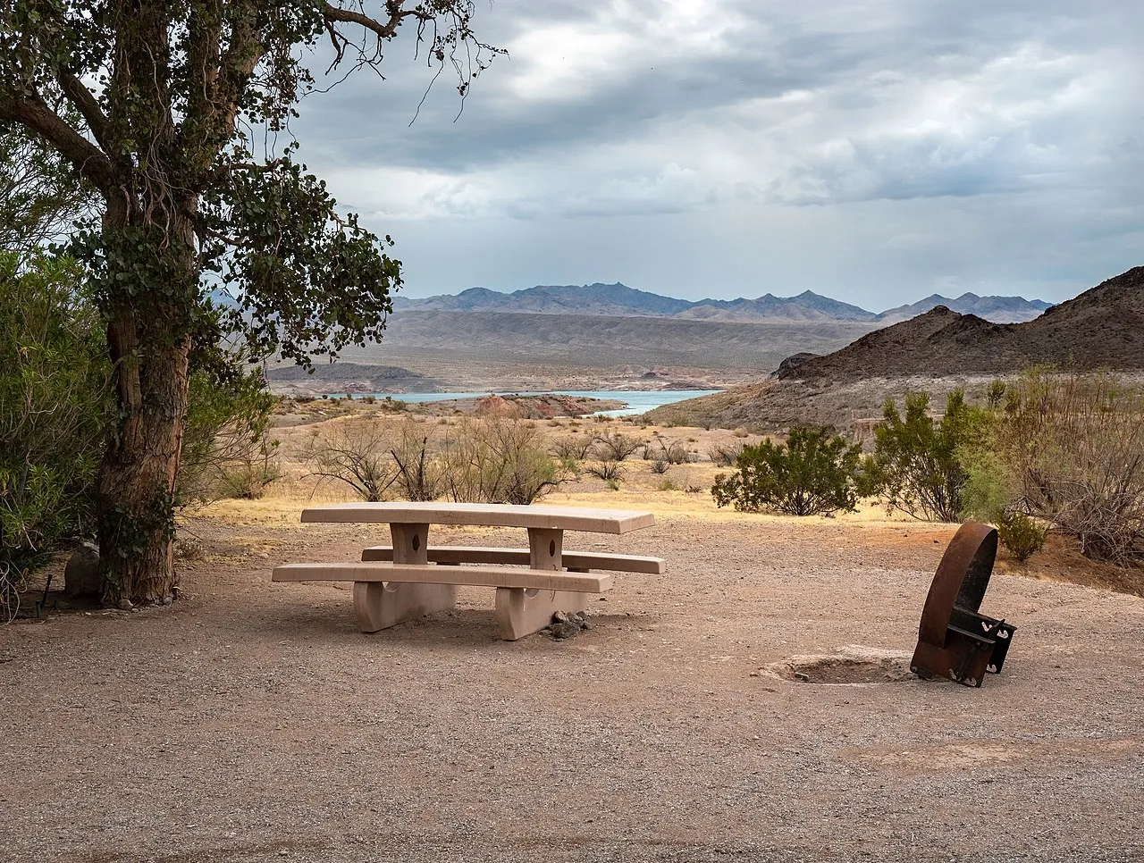 Cottonwood Cove Rv Park