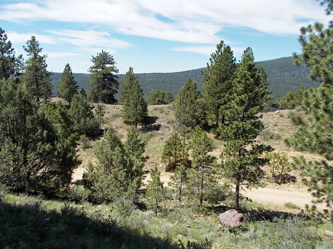 Deep Creek Campground