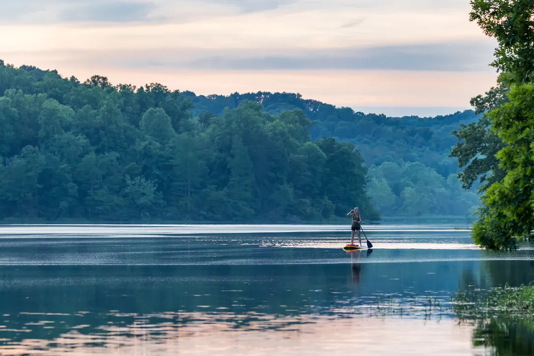 Yellowwood State Forest