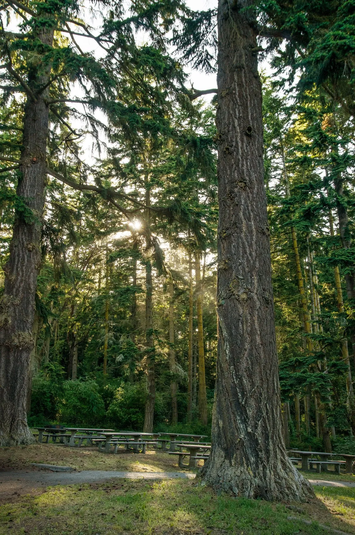 Fort Townsend State Park