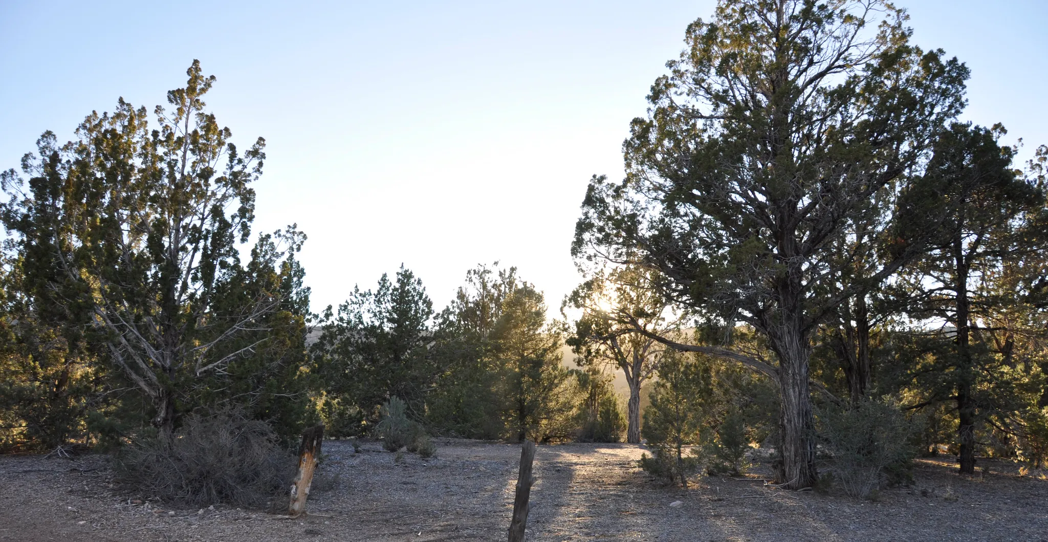 Beaver Dam Campground