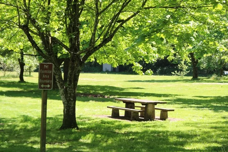 Unity Lake State Recreation Site