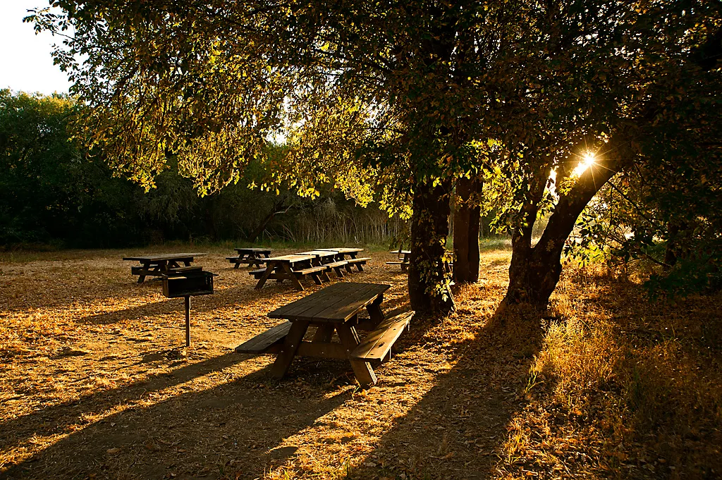 Azalea Campground