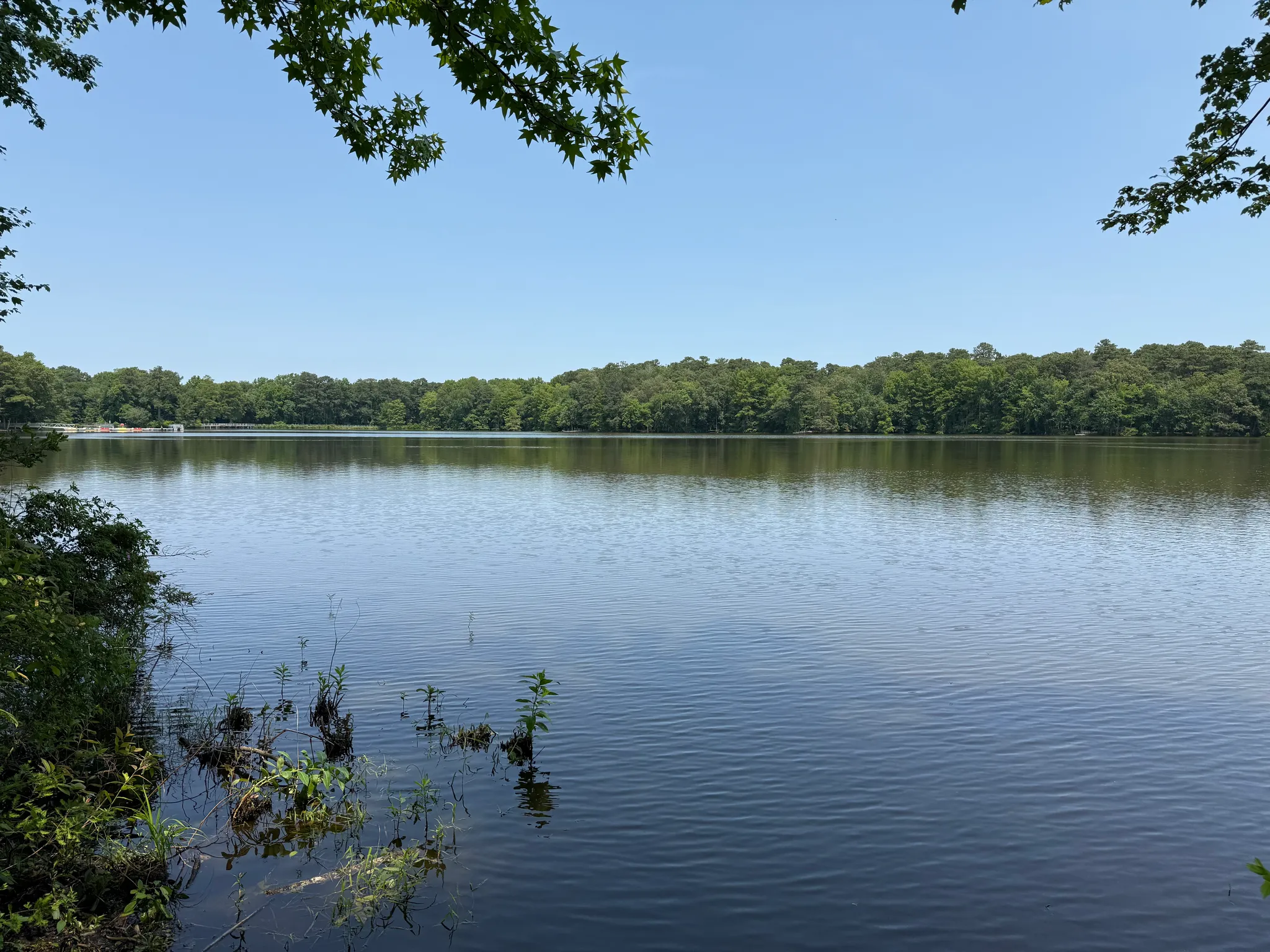 Trap Pond State Park