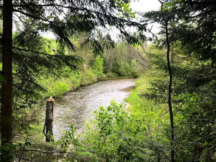 Haakwood State Forest Campground