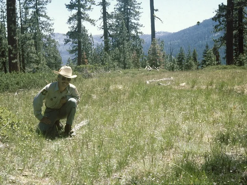 Hornsilver Campground