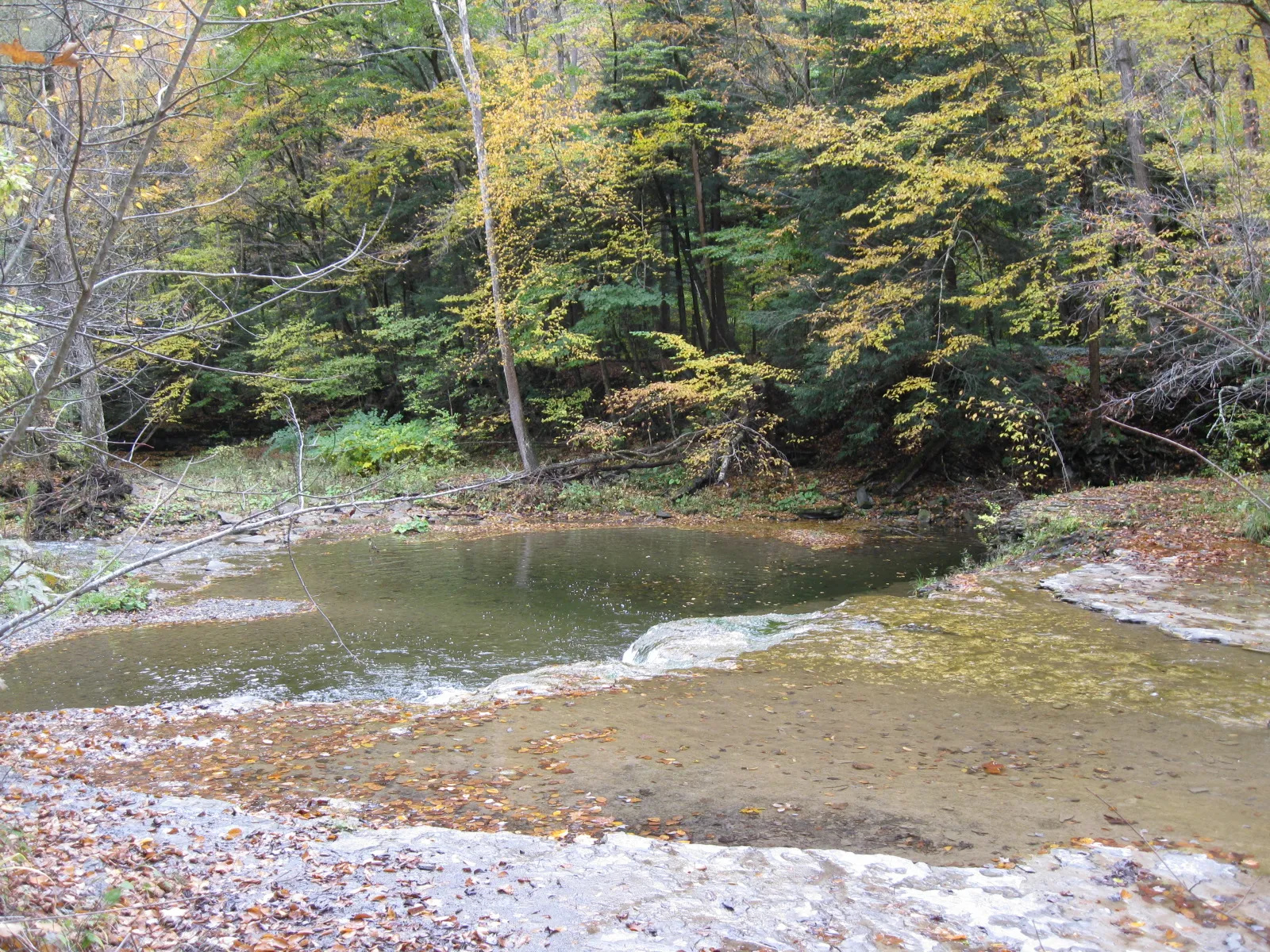 Robert H Treman State Park