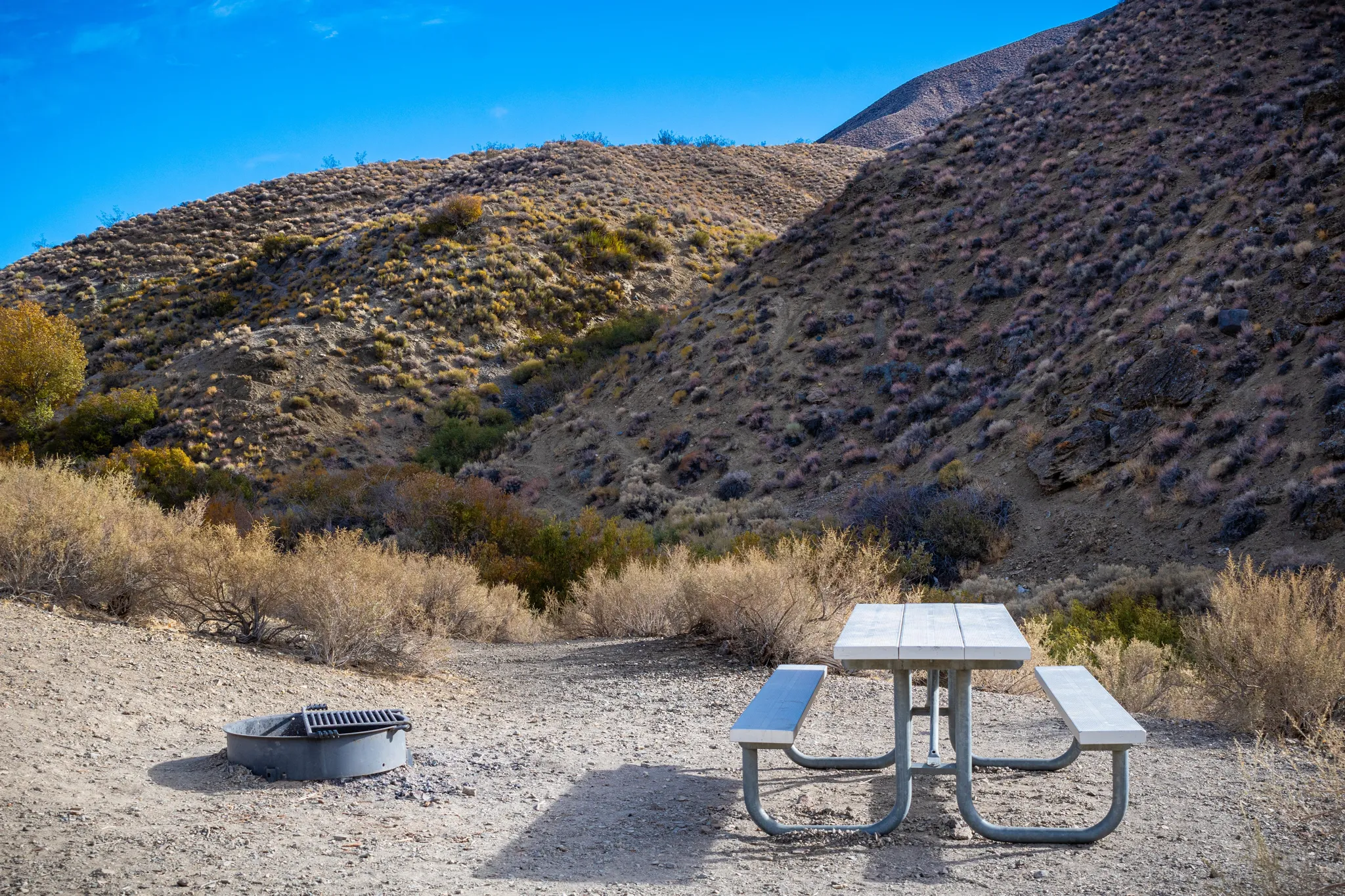 Wildrose Campground