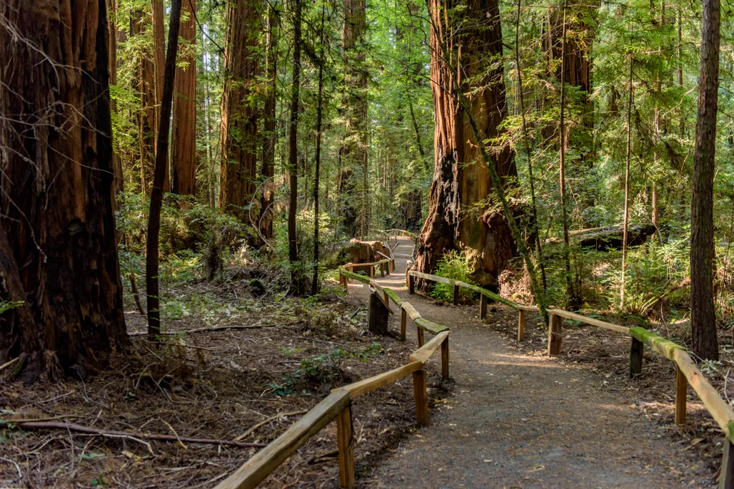 Huckleberry Campground