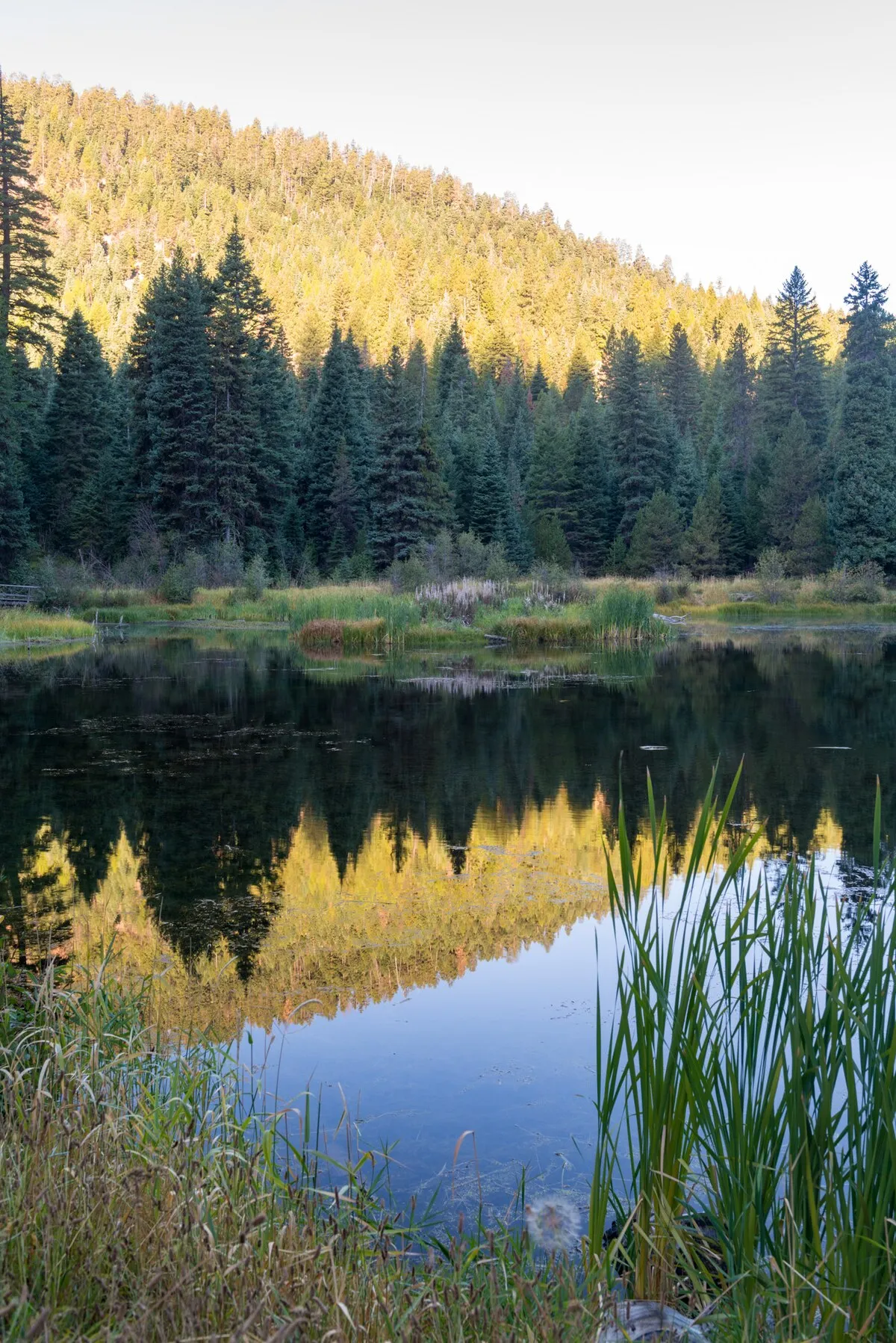 Trout Farm Campground