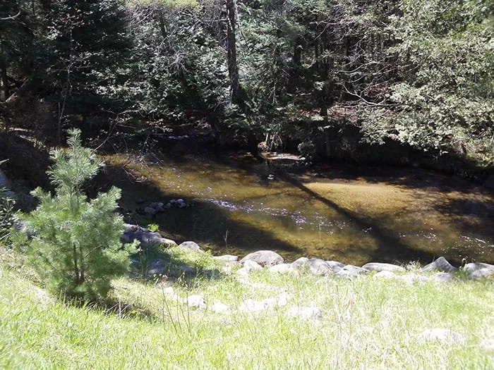 Hopkins Creek State Forest Campground