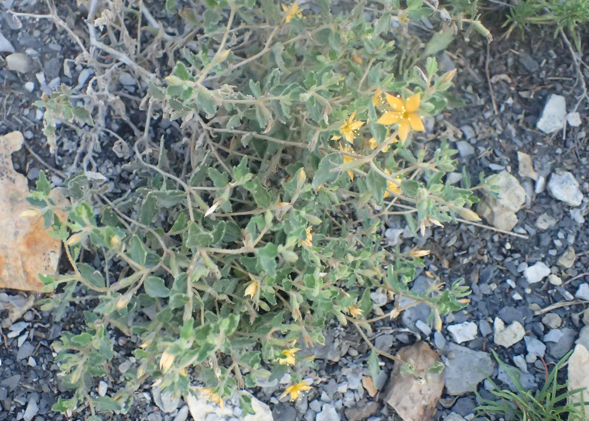 Wilson State Park