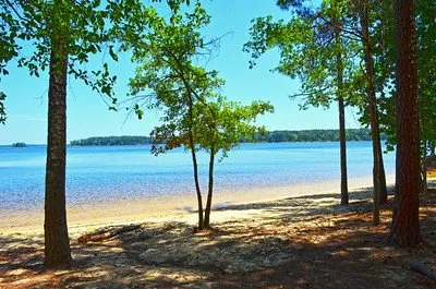 Mistletoe State Park