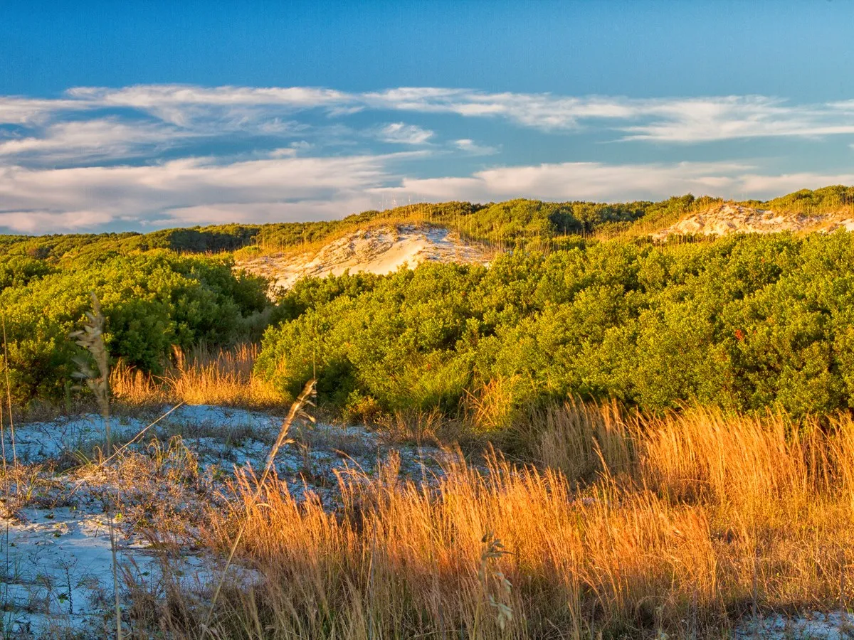 Cumberland Island National Seashore Camping Permits