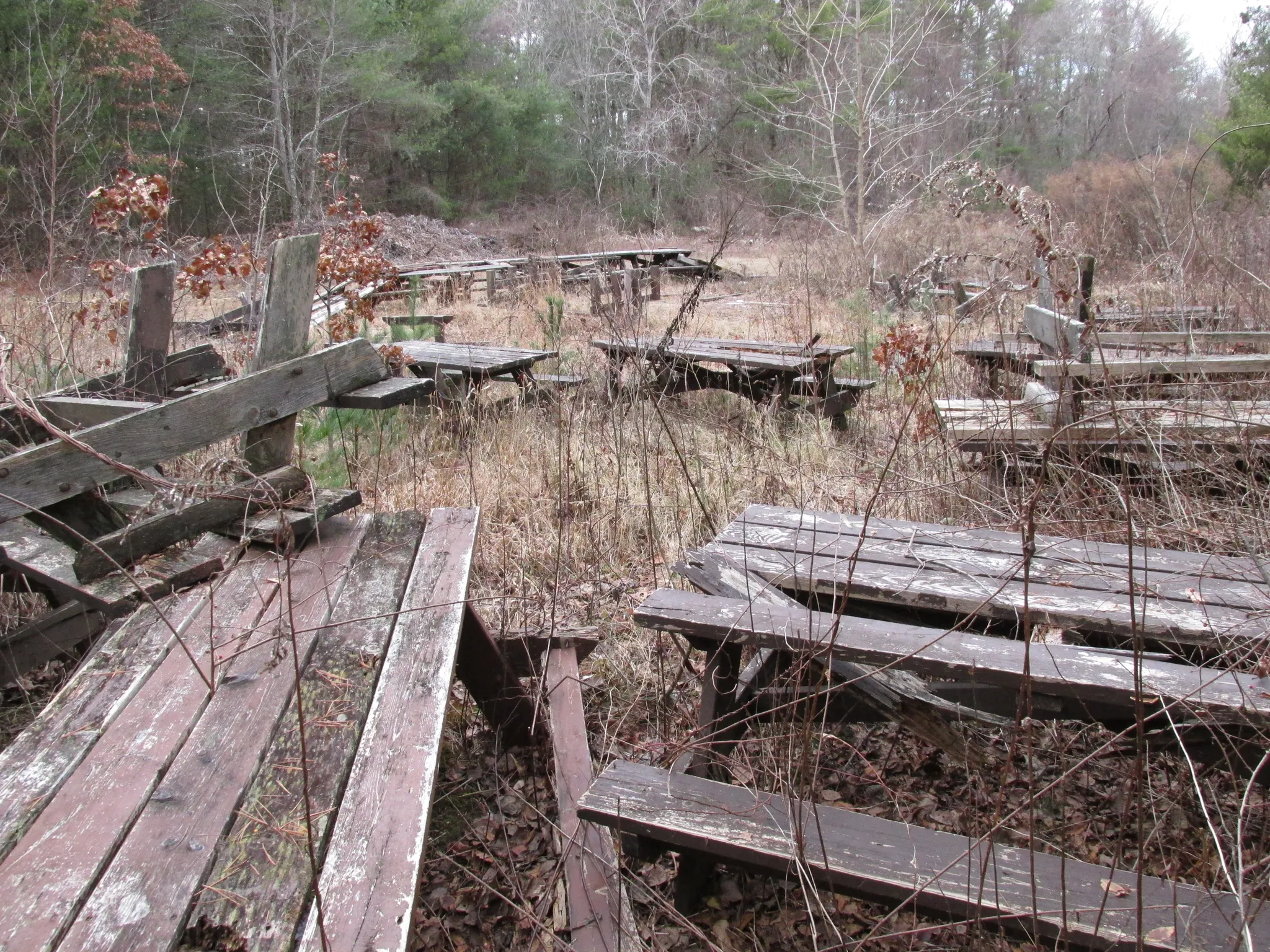 Massasoit State Park