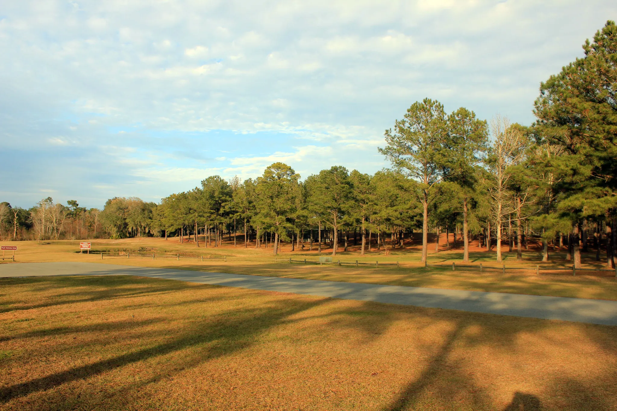 Reed Bingham State Park