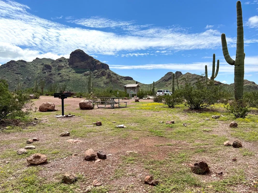 Alamo Canyon Primitive Campground 
