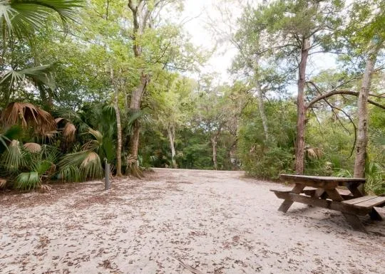 Anastasia State Park Campground 4