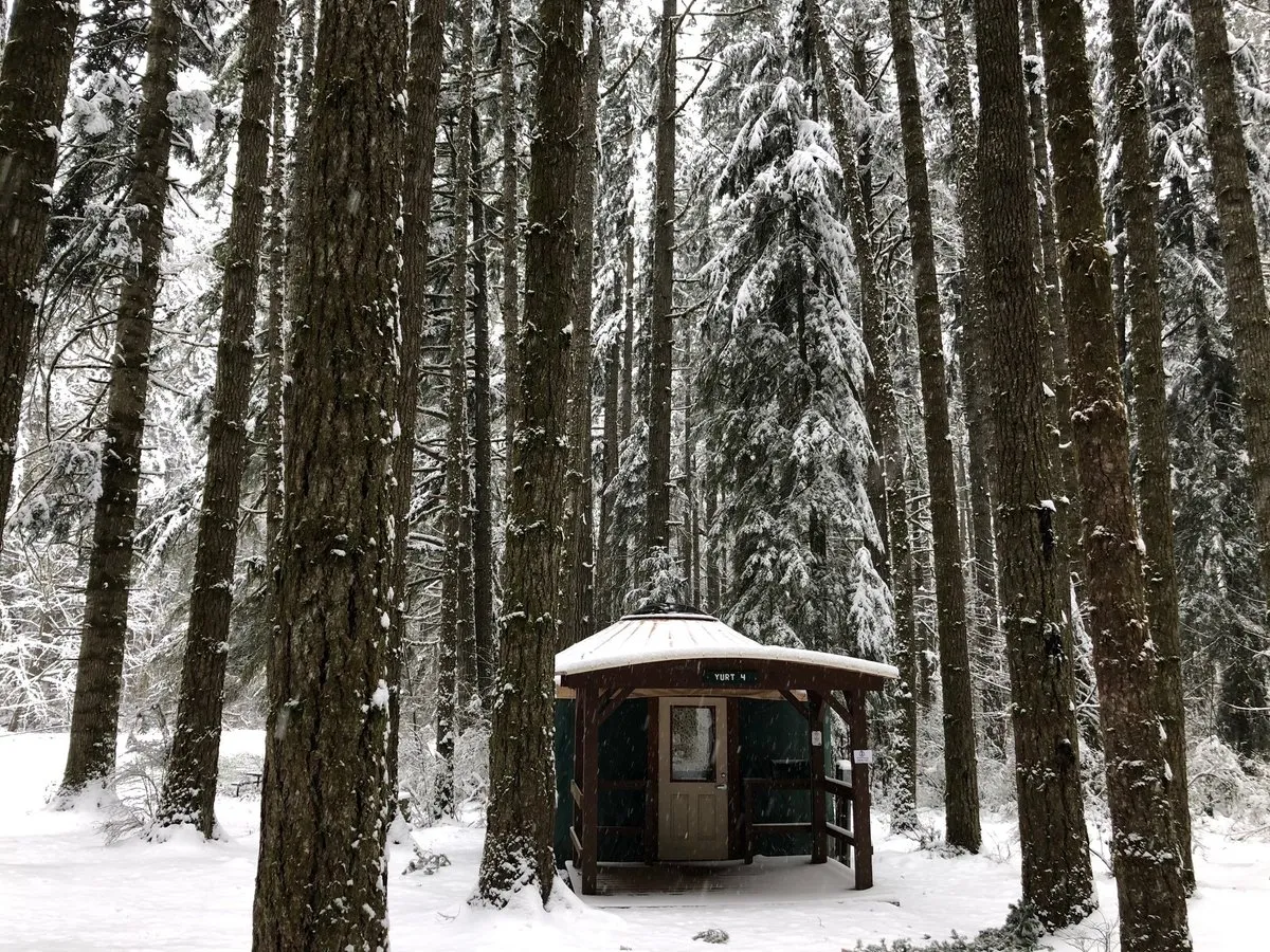 Seaquest State Park