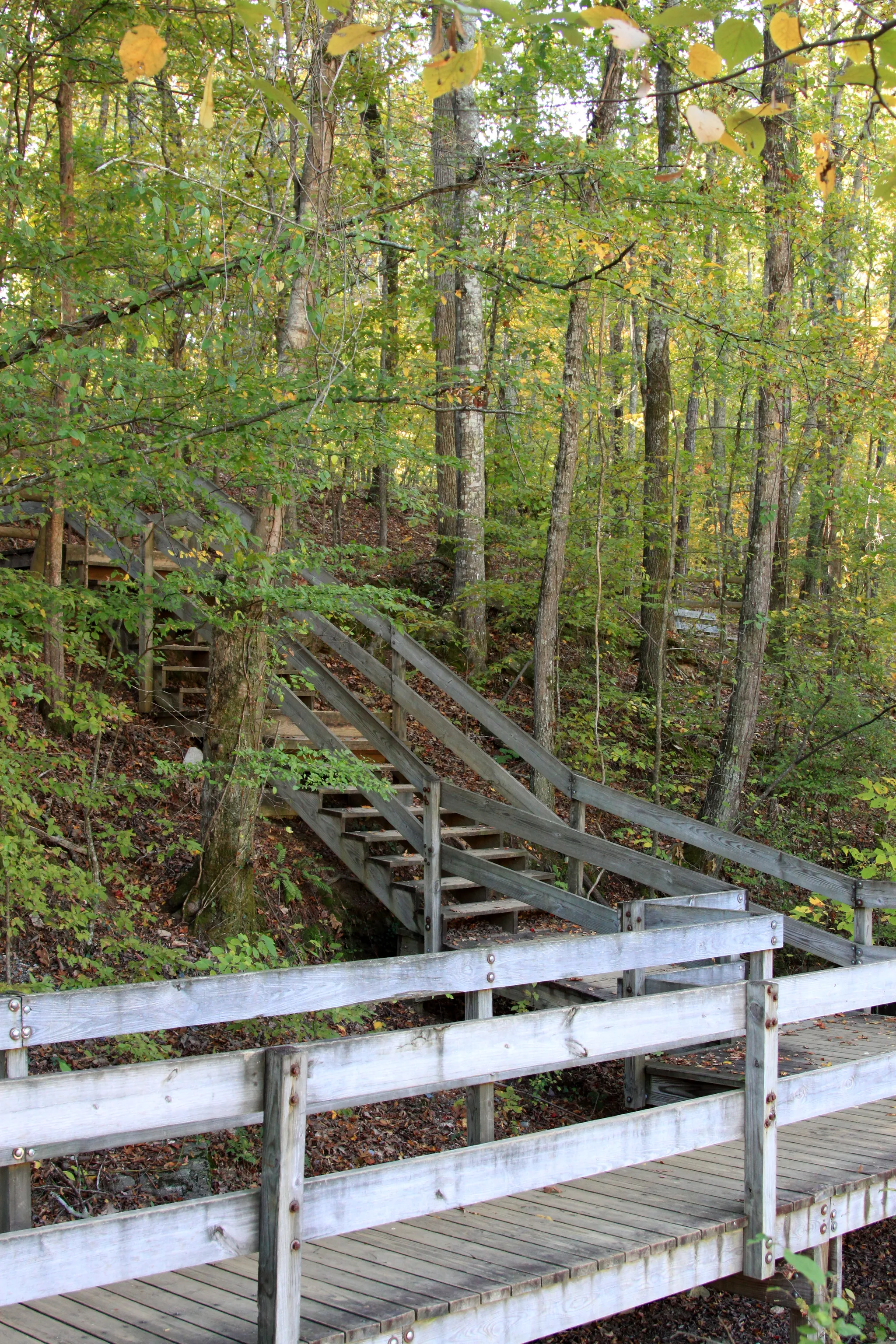 Sweetwater Creek State Park