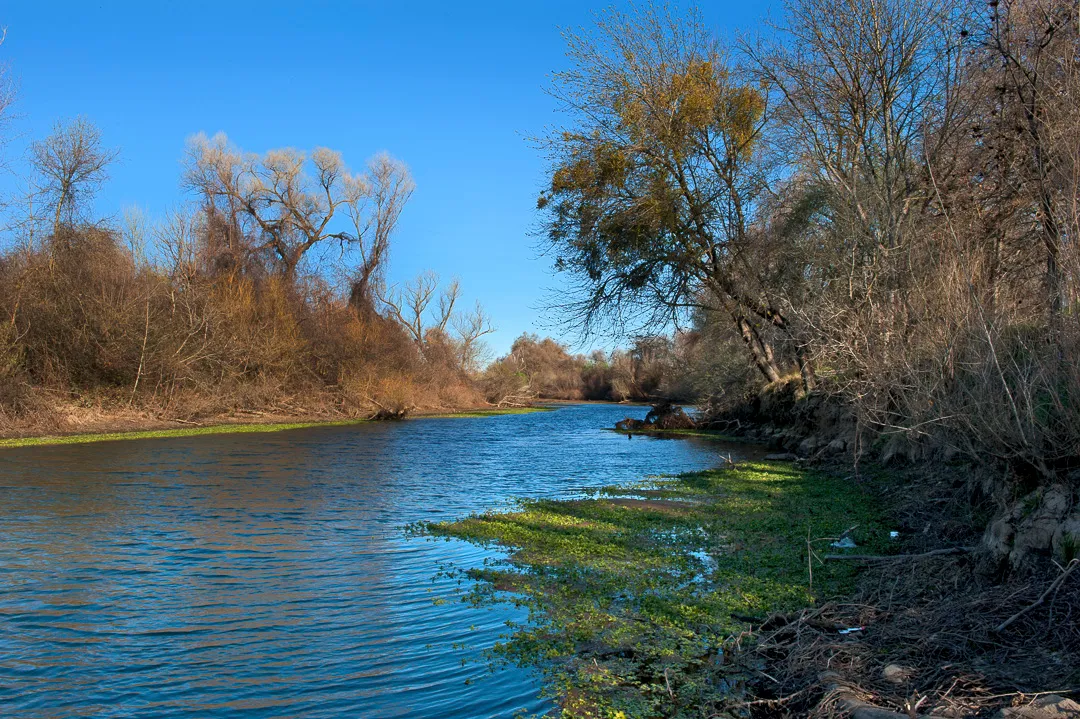 Irvine Finch Access Campground
