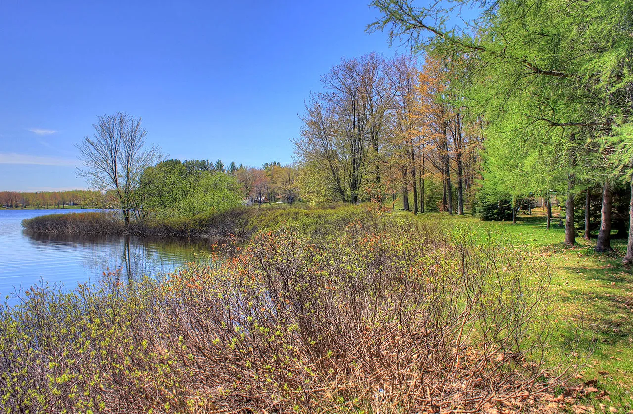 Twin Lakes State Forest Campground