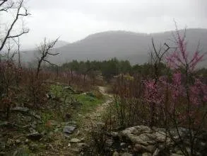 Campground 3 (Sites 155-186)