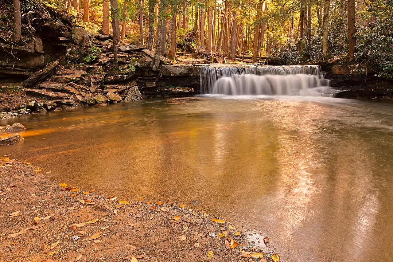 Swallow Falls State Park