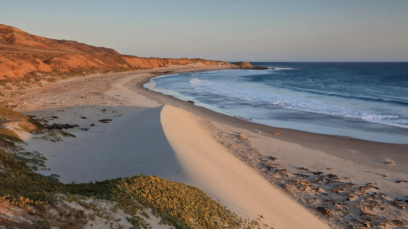 Santa Rosa Island Backcountry Beach Camping