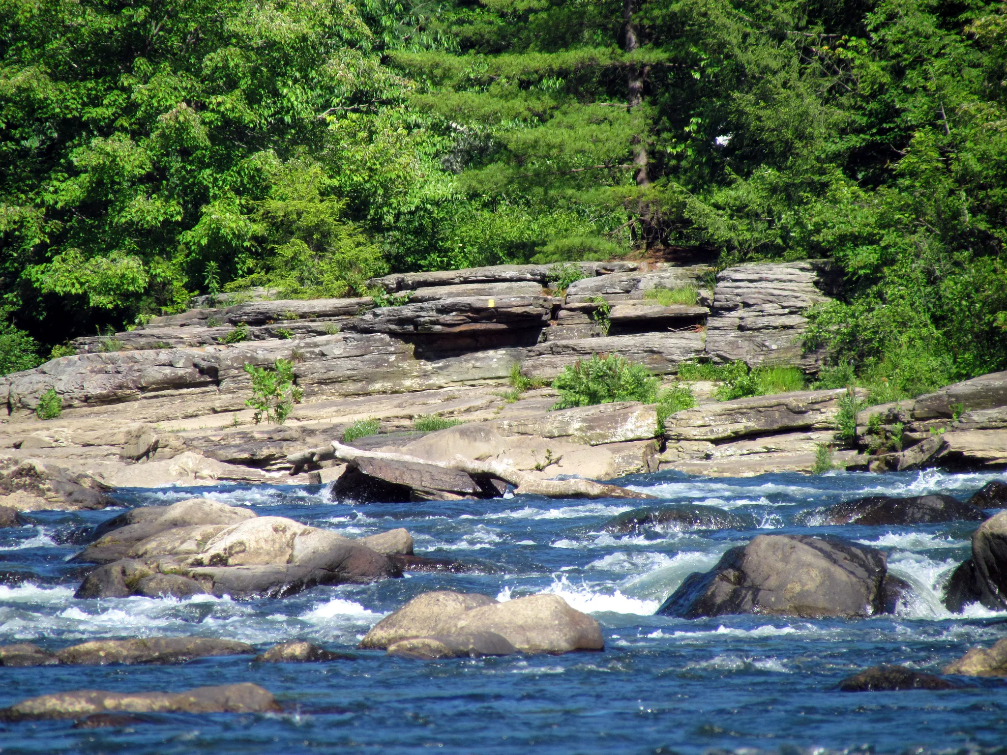 Ohiopyle State Park