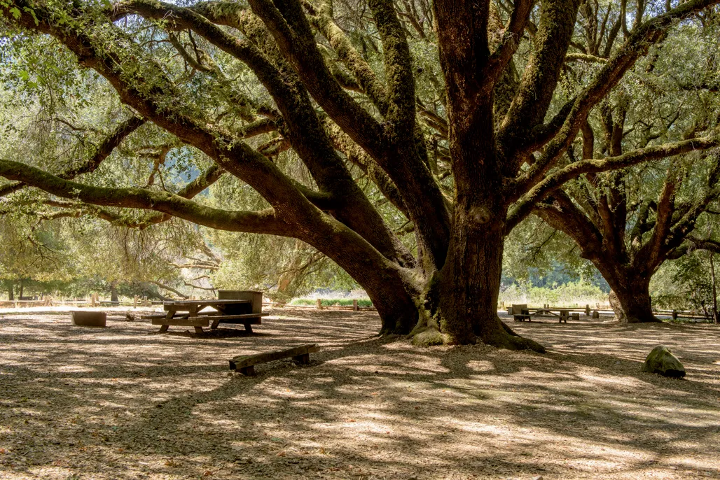 Huckleberry Campground