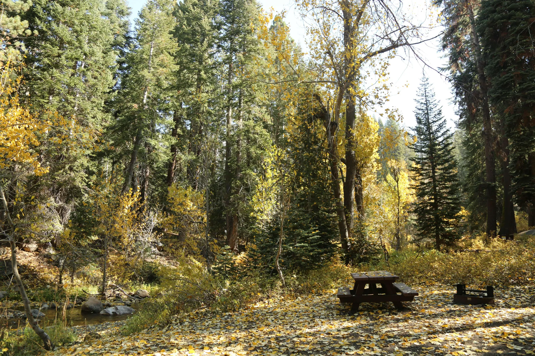 Cold Springs Campground (Ca)