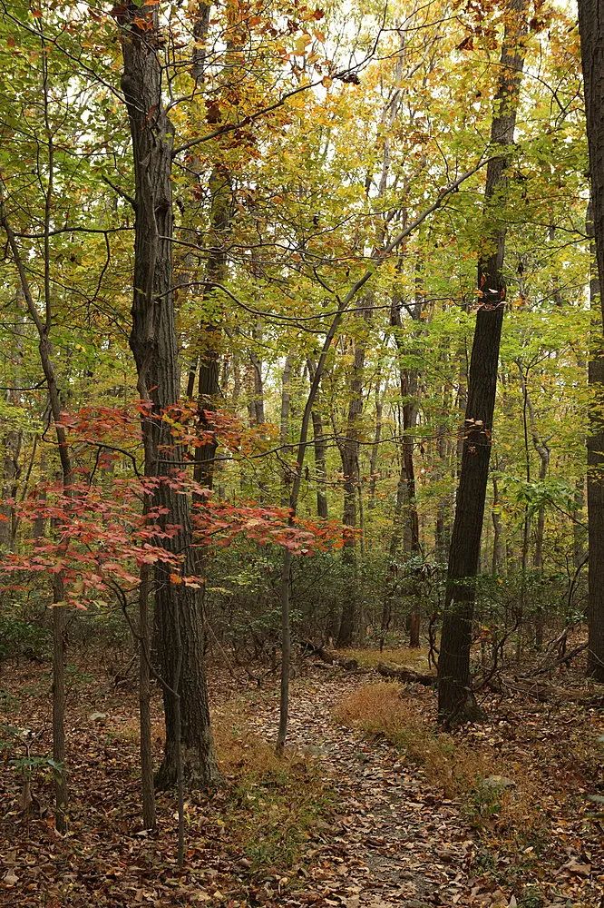 Gambrill State Park