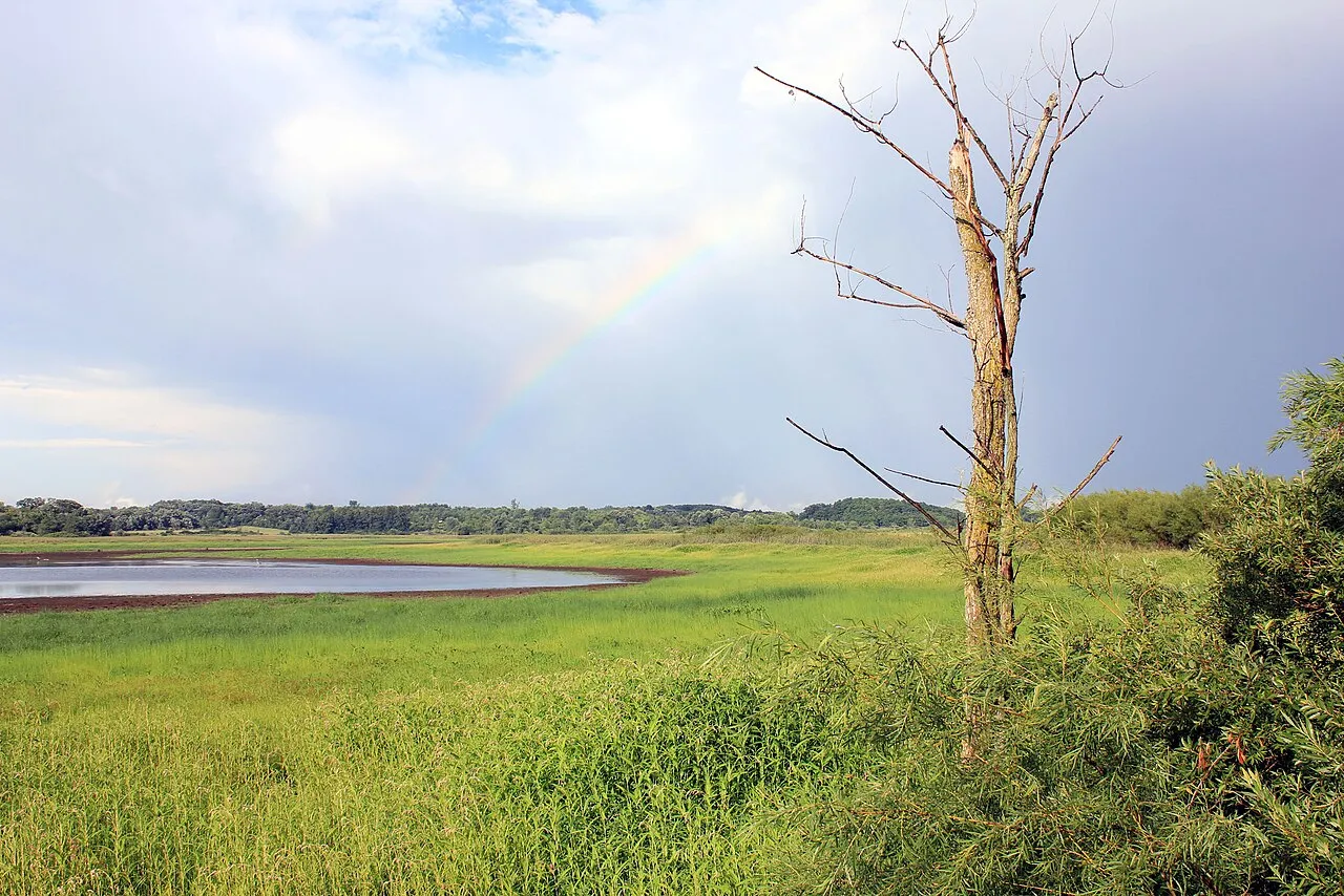 Richard Bong State Recreation Area