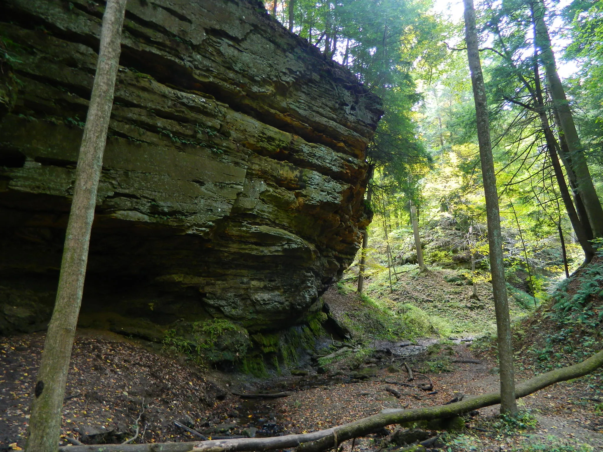 Shades State Park