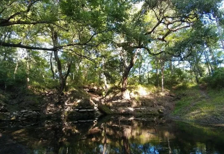 Lafayette Blue Springs State Park Cabin Loop