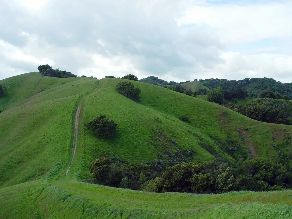 Briones Regional Park
