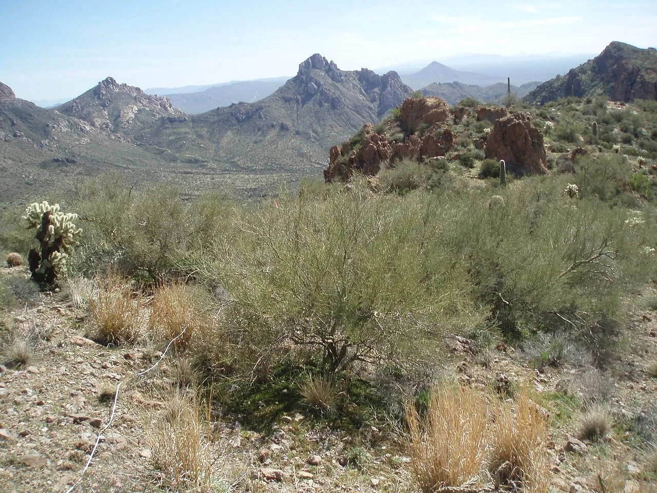 Main Campground