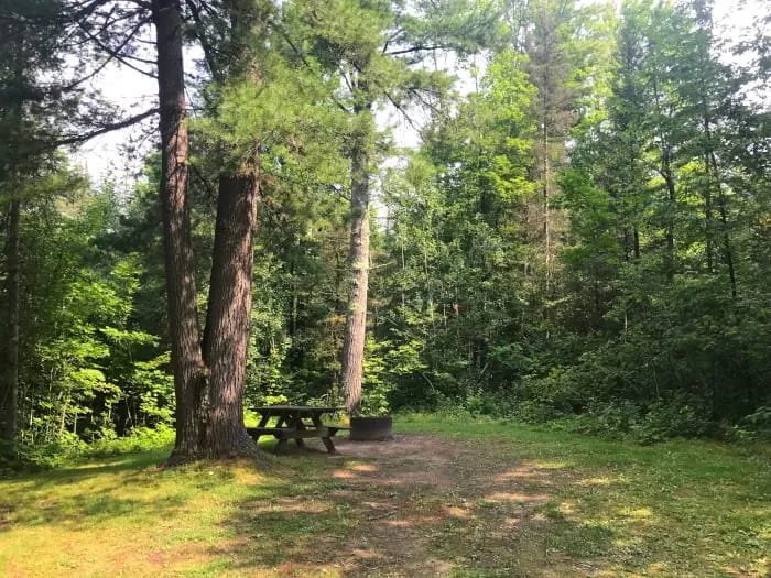 Gene's Pond State Forest Campground