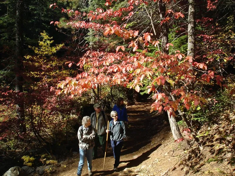 Bitterbrush Campground