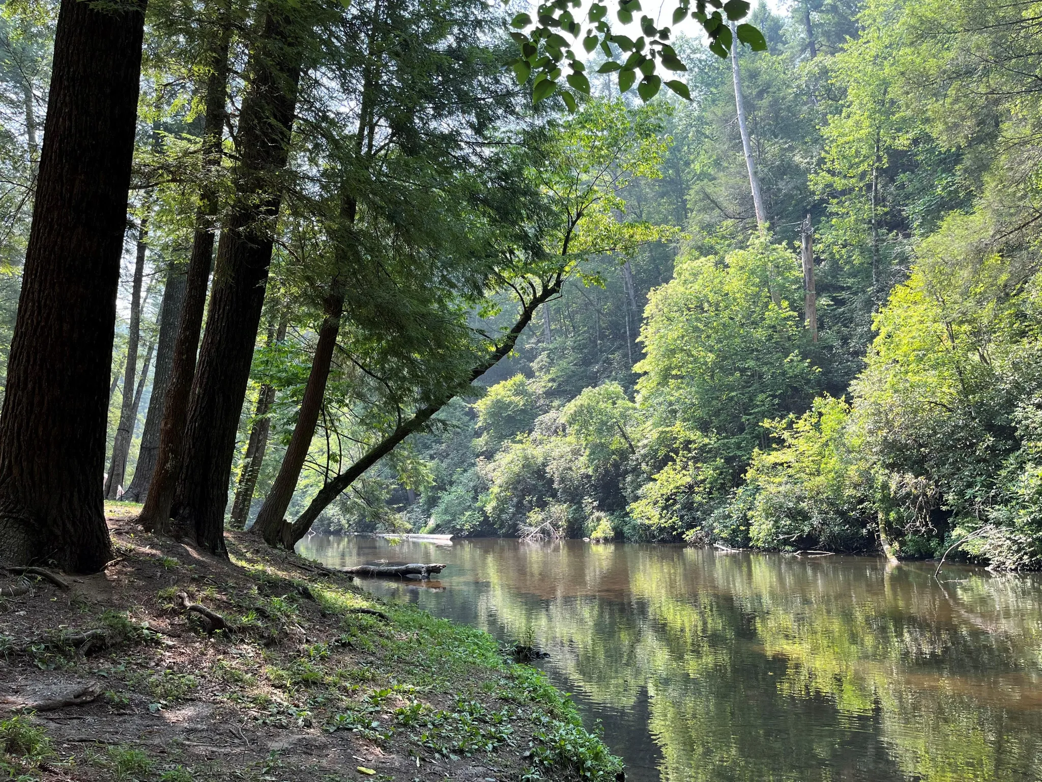 Abram's Creek Campground