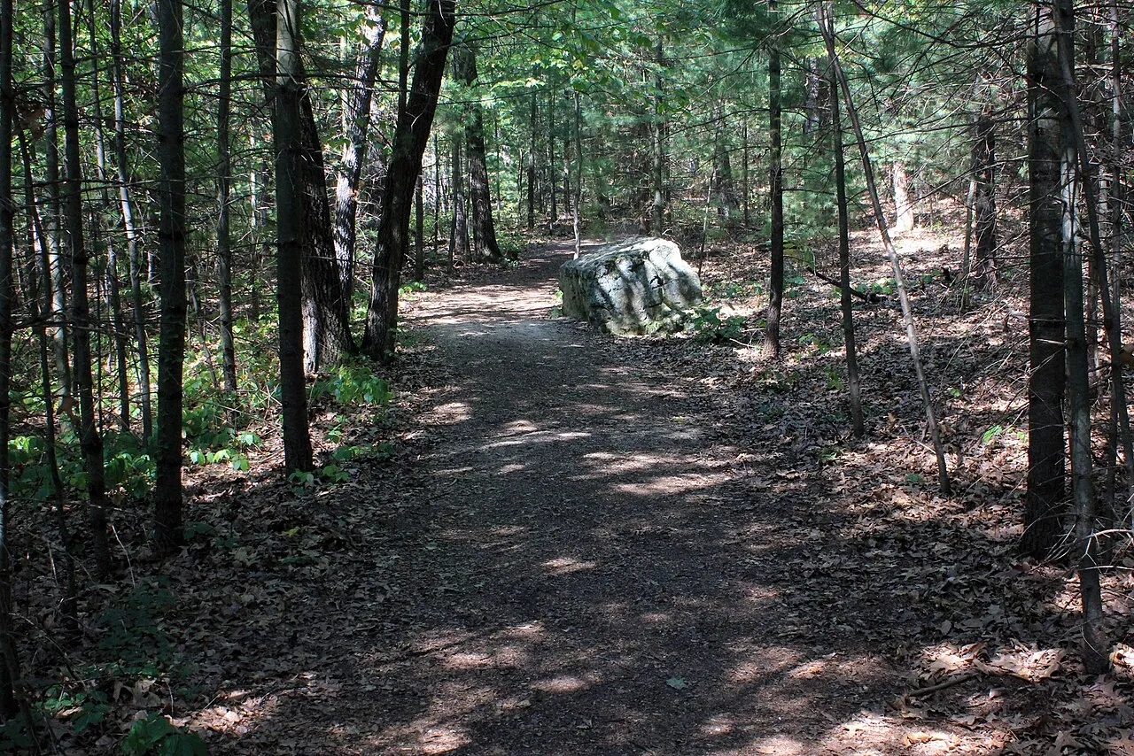 Mill Bluff State Park