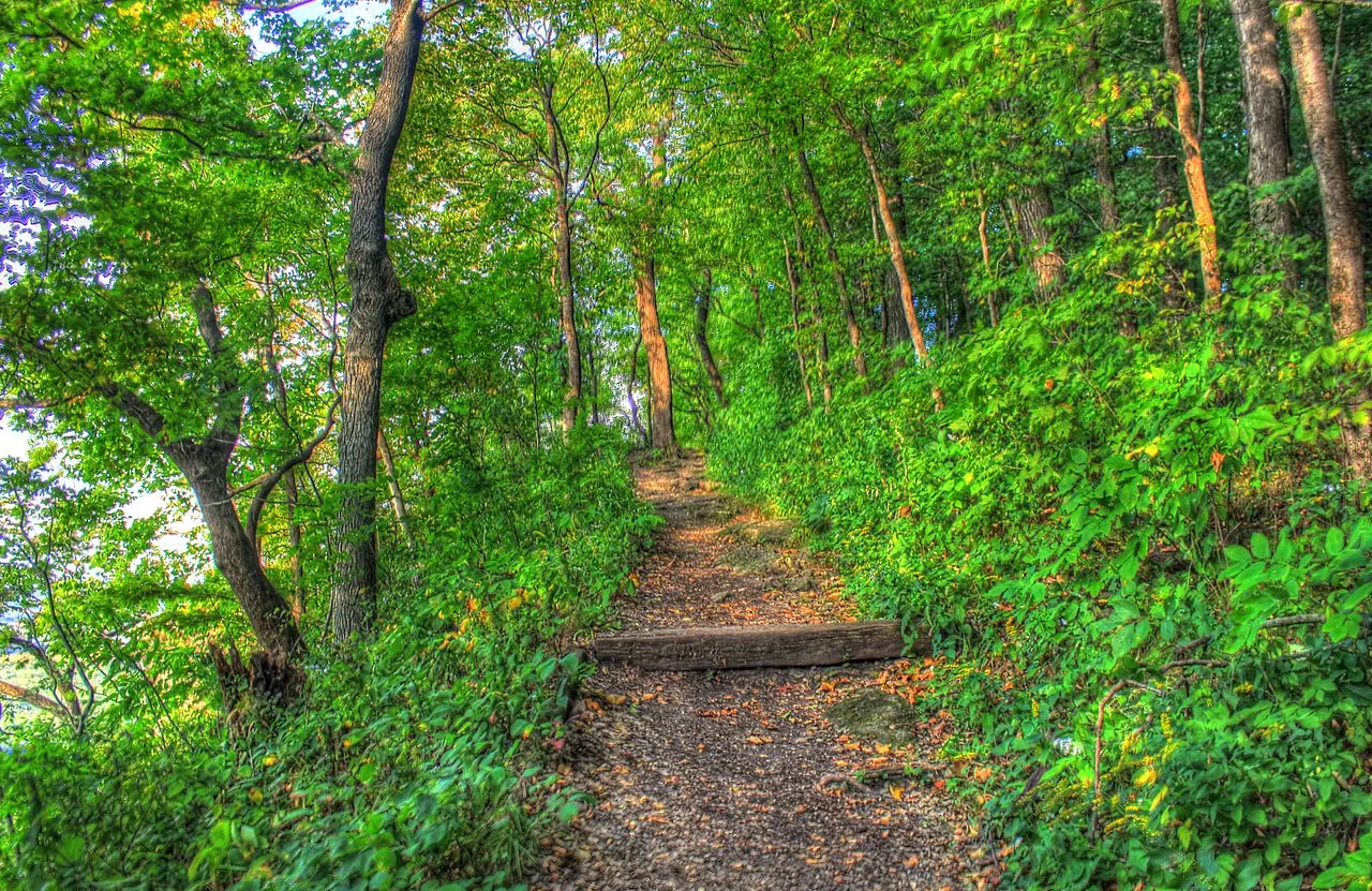 Wyalusing State Park